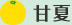 甘夏