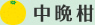 中晩柑