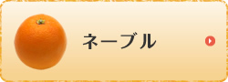ネーブル