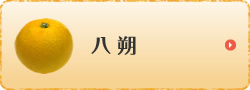 八朔