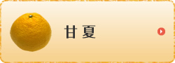 甘夏