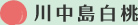 川中島白桃