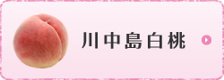 川中島白桃