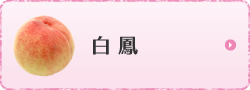 白鳳