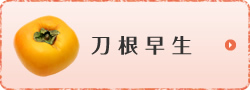 刀根早生